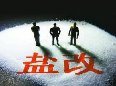 盐业改革最新动态，全面指南与步骤解析