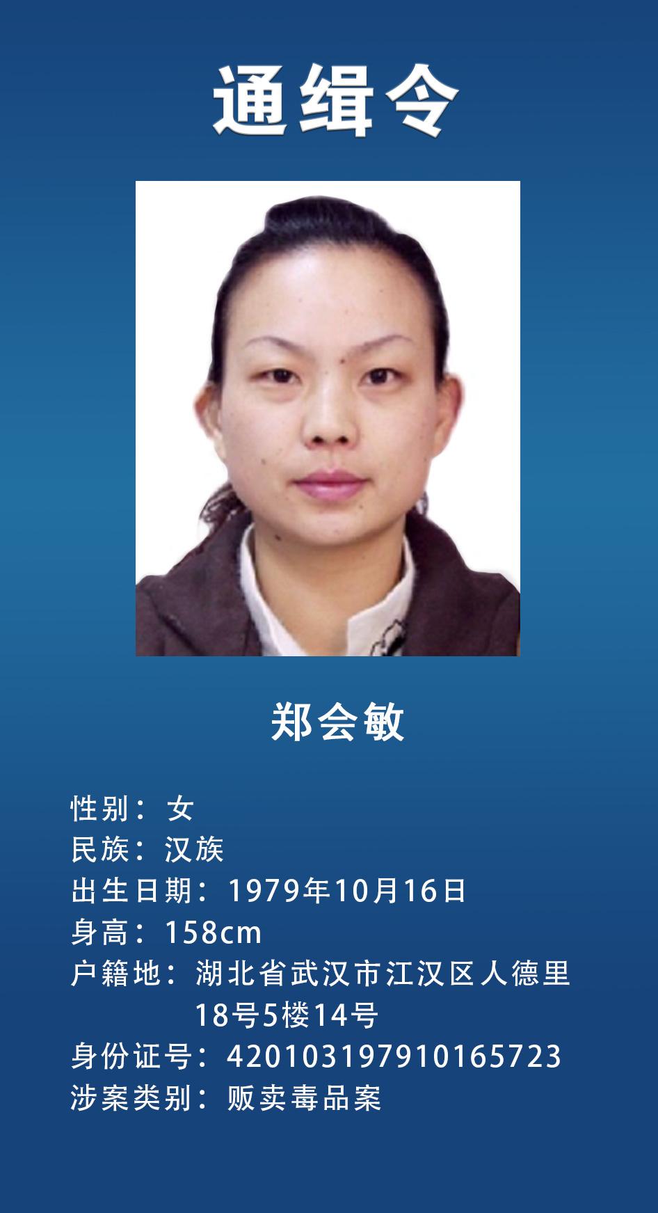 来凤县最新招聘,来凤县最新招聘热门职位等你来挑战！