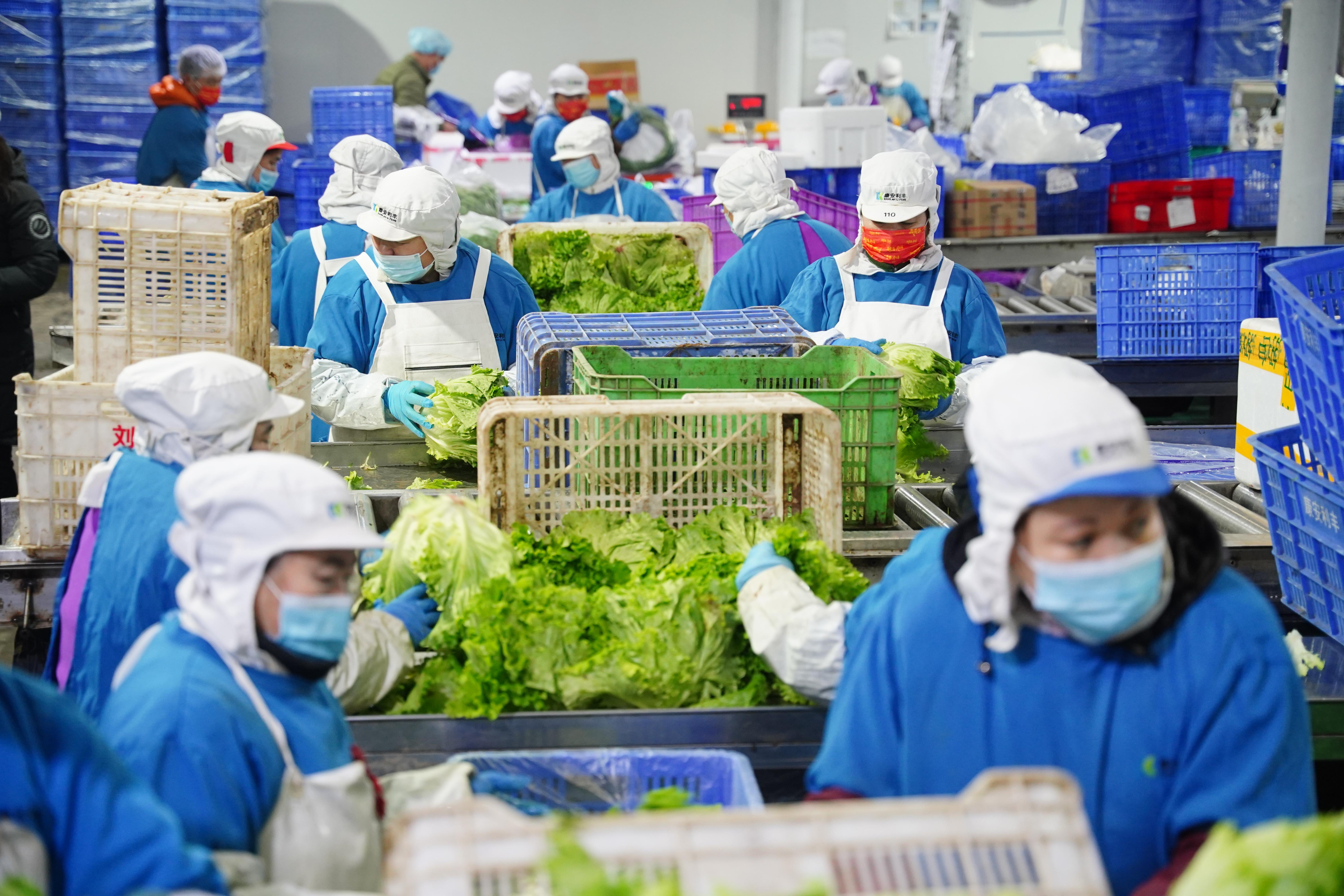 平谷马坊最新动态，全面了解与参与指南