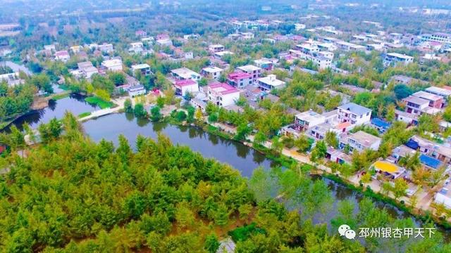 郯城与邳州最新进展更新，两地协同发展动态解析