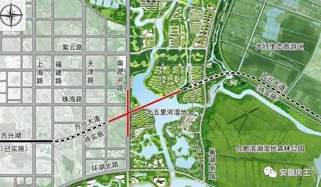 合肥淝河路最新动态更新