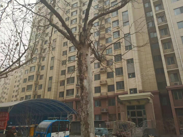 紫贵御园最新房价详解，查询步骤指南与实时房价信息揭秘