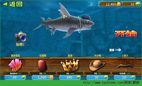 饿鲨鱼进化最新破解版，变化、学习与自信的力量探索