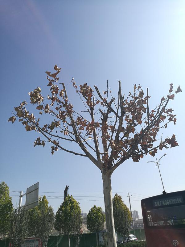 行业资讯 第181页