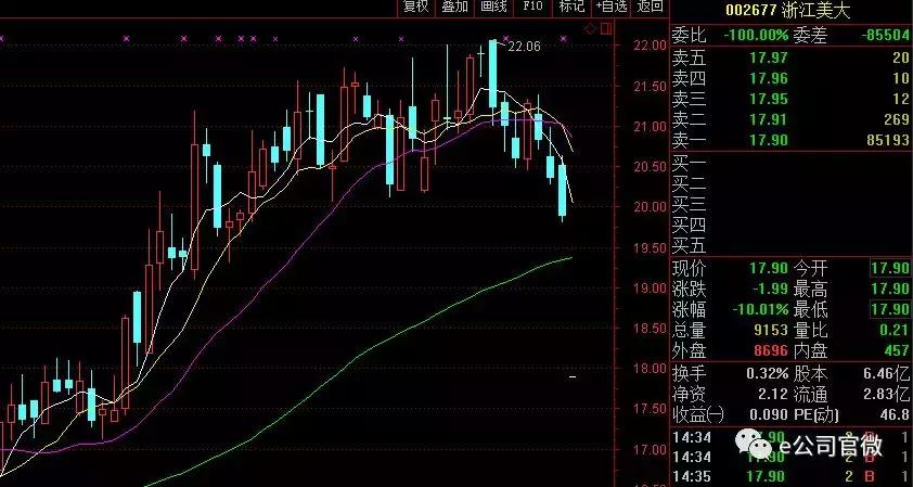 浙江美大上市之路揭秘，小巷美食秘境与上市时刻探寻