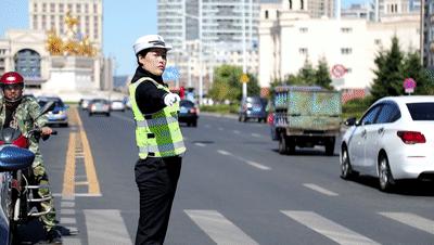 电视剧雪城，深度解读与影响分析