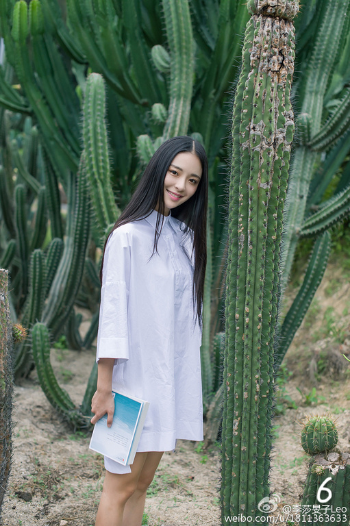 校花美腿新动态，全方位指南打造完美腿部线条的魅力秘籍