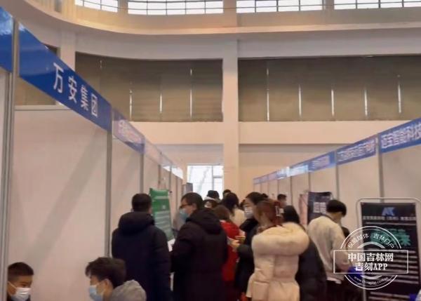 吉林区最新招聘信息概览，岗位更新与求职指南