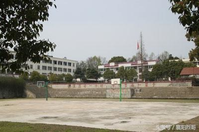 团陂镇科技风潮涌动，未来生活新篇章开启