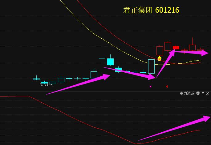 601216最新消息，欢乐友情派对温馨回顾