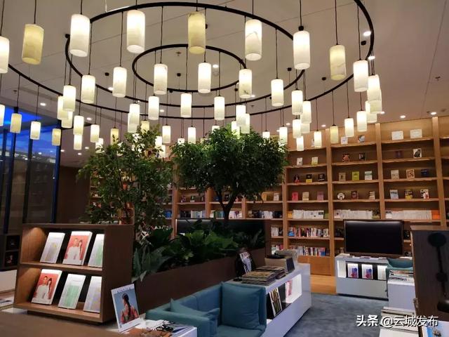 云浮吧最新动态，城市声音与观点交汇