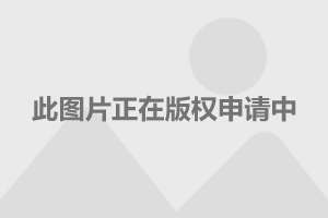 行业资讯 第19页