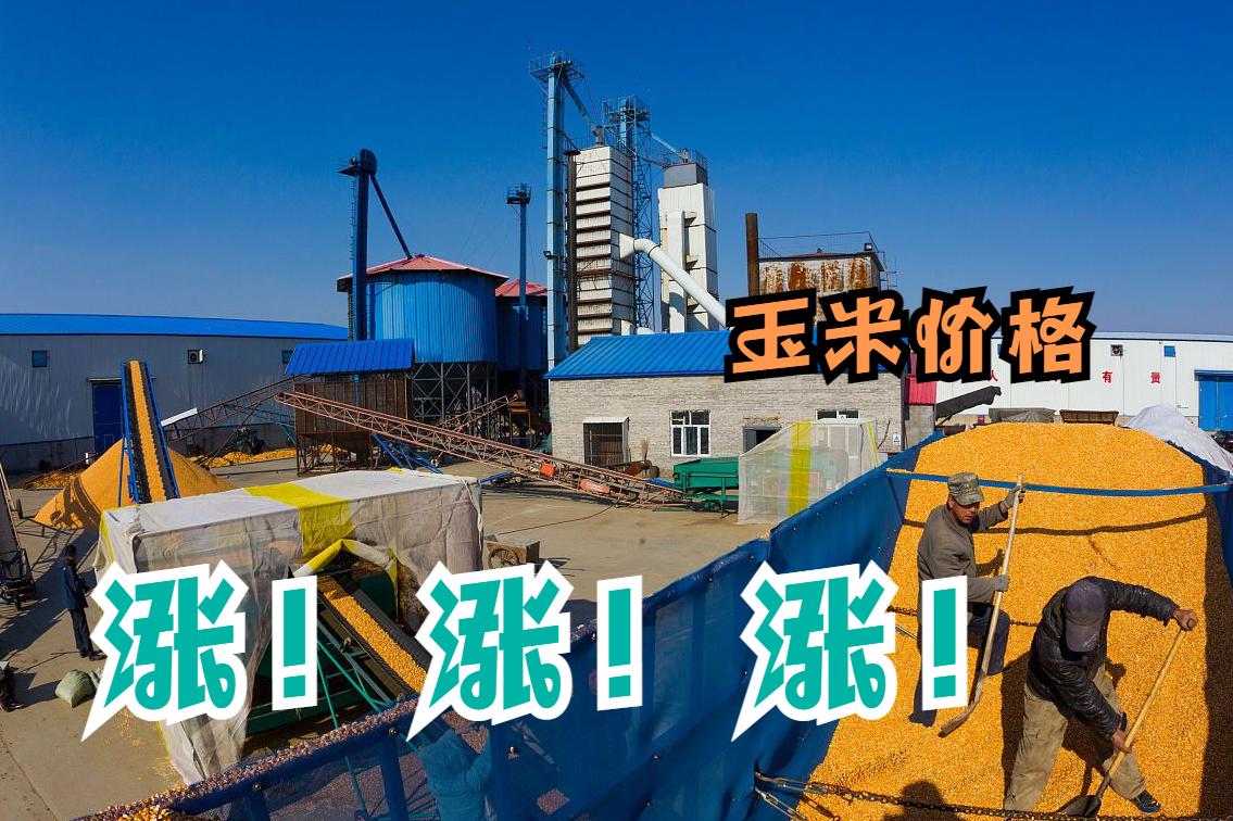 产品与服务 第13页