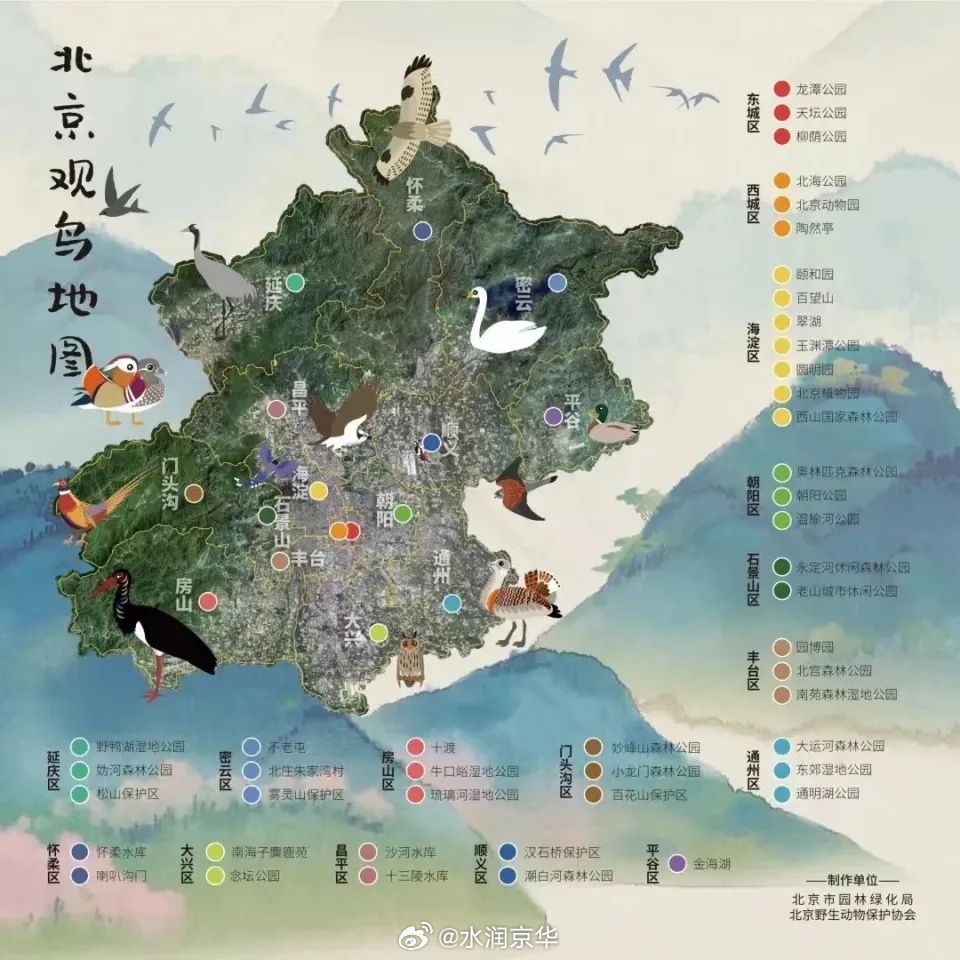 北京最新鸟洞据点，小巷中的隐秘宝藏探索