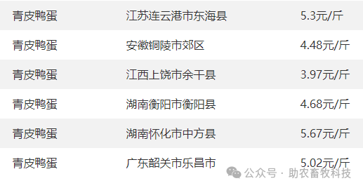 今日灵宝猪价动态更新与小巷深处的独特美食之旅