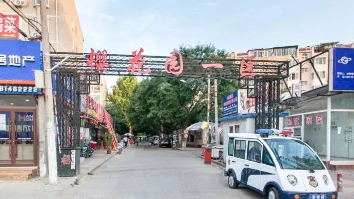 樱花园重塑美丽园林，最新置换消息与艺术之旅的融合
